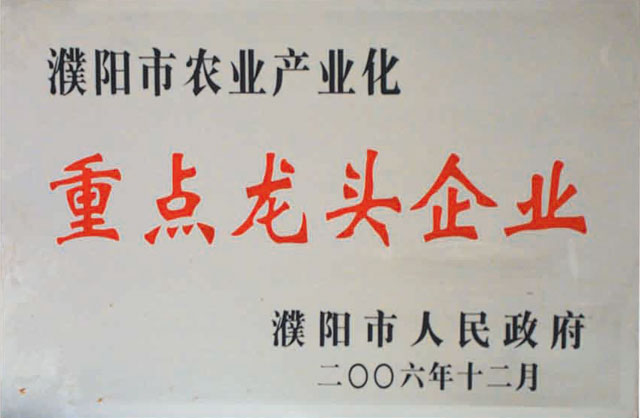 2006年重點(diǎn)龍頭企業(yè)